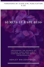 Secrets of a She Boss: Uncovering the Secrets to Success, Sassy-Ness & Self-Confidence for the Female Entrepreneur