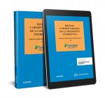 Riesgos y oportunidades transiccion energetica