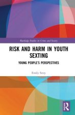 Risk and Harm in Youth Sexting