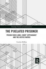 Pixelated Prisoner