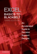 Excel Basics to Blackbelt