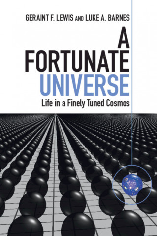 Fortunate Universe