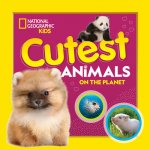 Cutest Animals on the Planet