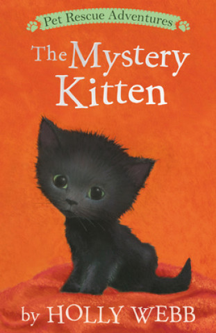 Mystery Kitten