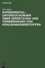 Experimental-Untersuchungen UEber Zersetzung Und Verbrennung Von Kohlenwasserstoffen