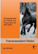Trainerassistent Reiten