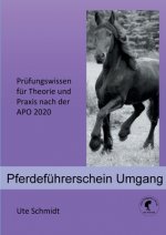 Pferdefuhrerschein Umgang