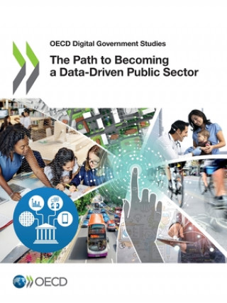 path to becoming a data-driven public sector