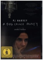 PJ Harvey - A Dog Called Money, 1 DVD