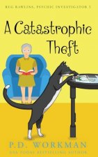Catastrophic Theft