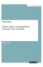 Offene Kinder- und Jugendarbeit. Konzepte, Ziele und Kritik