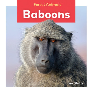 Baboons