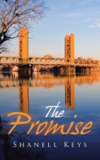 Promise