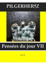 Pensées du jour VII