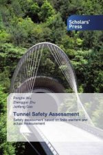 Tunnel Safety Assessment
