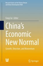 China's Economic New Normal