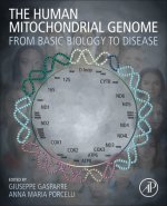 Human Mitochondrial Genome