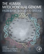 Human Mitochondrial Genome