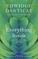 Everything Inside