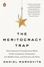 Meritocracy Trap