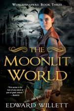 Moonlit World