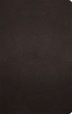 ESV Thinline Bible