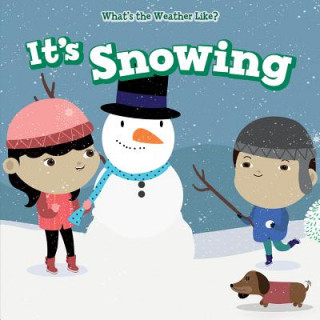 It's Snowing