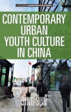 Contemporary Urban Youth Culture in China