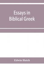 Essays in Biblical Greek