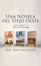 Novela del Viejo