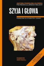 Anatomia Prawidłowa Człowieka Szyja i głowa