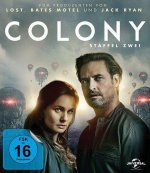 Colony