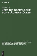 UEber Die Oberflache Von Flachenstucken