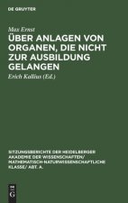 UEber Anlagen Von Organen, Die Nicht Zur Ausbildung Gelangen