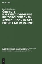 UEber Die Randerzuordnung Bei Topologischen Abbildungen in Der Ebene Und Im Raume