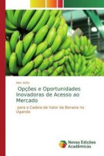 Opç?es e Oportunidades Inovadoras de Acesso ao Mercado