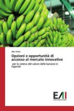 Opzioni e opportunit? di accesso al mercato innovative