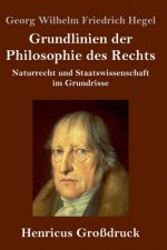 Grundlinien der Philosophie des Rechts (Grossdruck)