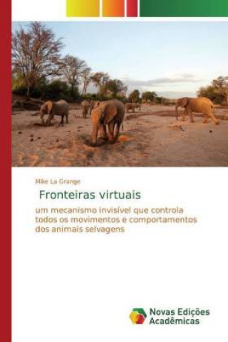 Fronteiras virtuais