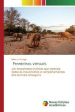 Fronteiras virtuais
