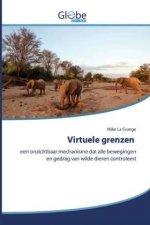 Virtuele grenzen