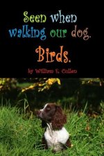 Seen When Walking Our Dog.: Birds.