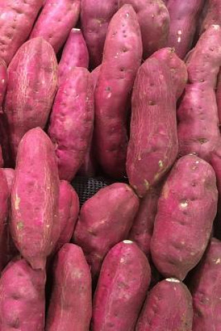 Sweet Potatoes: The Sweet Potato Is a Dicotyledonous Plant That Belongs to the Bindweed or Morning Glory Family, Convolvulaceae. Its L