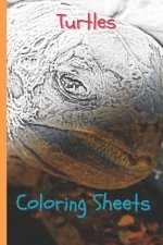 Turtles Coloring Sheets: 30 Turtles Drawings, Coloring Sheets Adults Relaxation, Coloring Book for Kids, for Girls, Volume 3