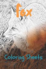 Fox Coloring Sheets: 30 Fox Drawings, Coloring Sheets Adults Relaxation, Coloring Book for Kids, for Girls, Volume 15