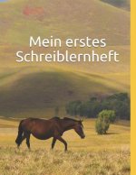 Mein erstes Schreiblernheft: Schreiblernheft für Schreibanfänger. Extra große Linienabstände für erste Schreibübungen. 1. Klasse Lineatur mit Haus.