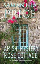 Amish Mystery At Rose Cottage