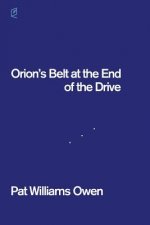 Orion's Belt at the End of the Drive