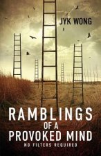 Ramblings of a Provoked Mind: No Filters Required