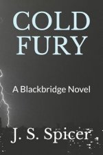 Cold Fury: A Blackbridge Novel